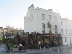 The Gipsy Moth image