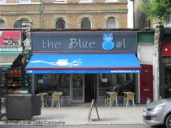 The Blue Owl image