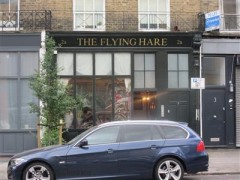 The Flying Hare image