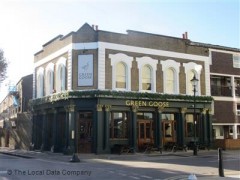 Green Goose image