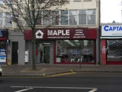 Maple image