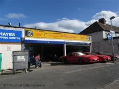 Hayes Autotech image