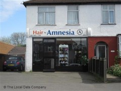 Hair By Amnesia image