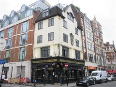 Golden Lion image
