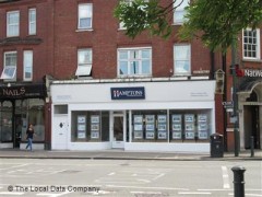 Hamptons International image