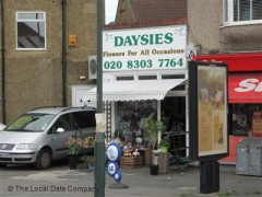 Daysies image