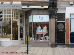 Fig image