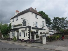 Black Lion image