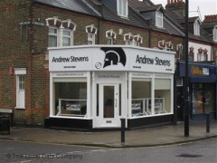 Andrew Stevens image