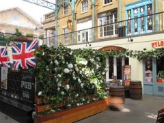 Punch & Judy image