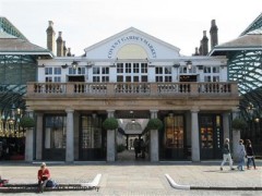 Punch & Judy image
