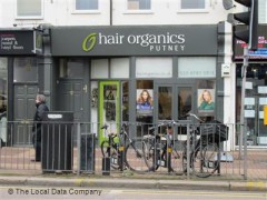 Hair Organics image