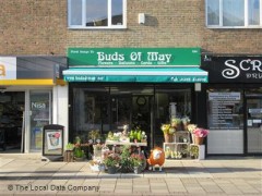Buds of May image