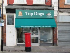 Top Dogs image