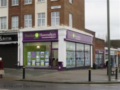 Sinclair Hammelton image
