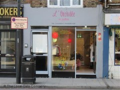 L'Orchidee image