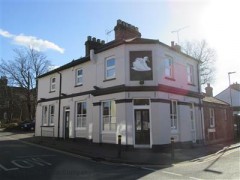 The White Swan image