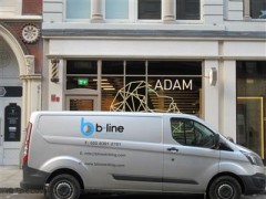 Adam image
