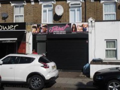 Tasha Unisex Salon image