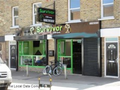 Survivor image