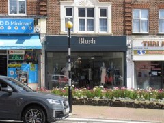 Blush image