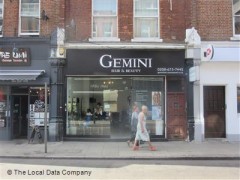 Gemini image