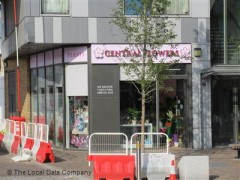 Central Flowers image