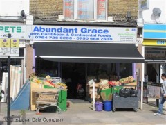 Abundant Grace image