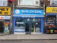 Blue Ocean image