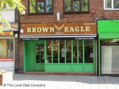 Brown Eagle image