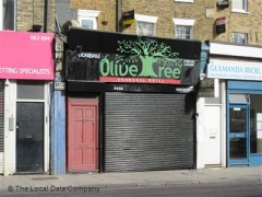 Olive Tree image