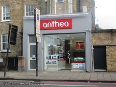 Anthea image