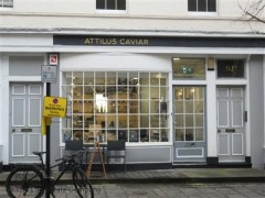 Attilus Caviar image
