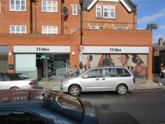 3 Tribes image