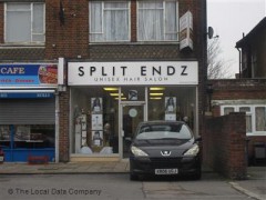 Split Endz image