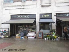 Moxton's image