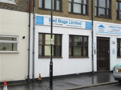 Bed Bugs image