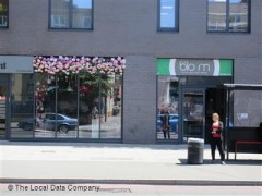 The Bloom image
