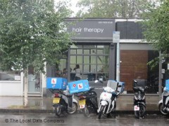 Hair Therapy image