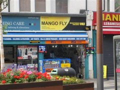 Mango Fly image