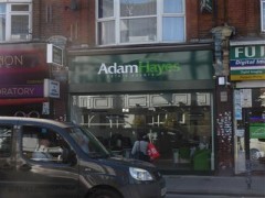 Adam Hayes image