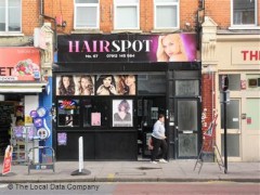 The Hair Spot image