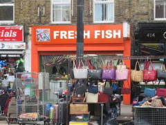 Fresh Fish image