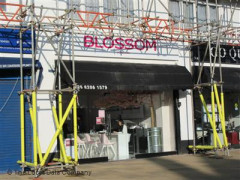 Blossom image