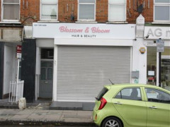 Blossom and Bloom image