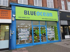 Blue Ocean image