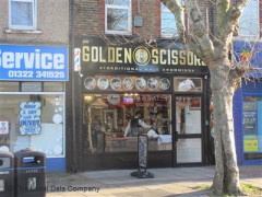 Golden Scissors image