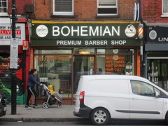 Bohemian image