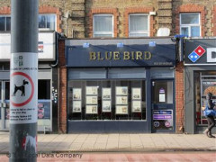 Blue Bird image