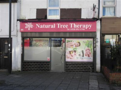 Natural Tree Therapy image